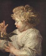 RUBENS, Pieter Pauwel Boy with Bird Norge oil painting reproduction